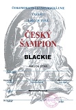 Blackie  - Junior šampion